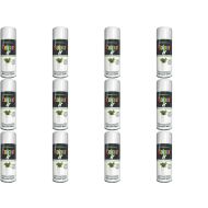 Paint Factory White Gloss Spray Paint Interior & Exterior 250ml - Pack of 12