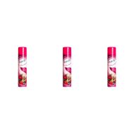 Insette Air Freshener Spray Wild Berries 300ml - Pack of 3