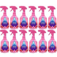 Astonish Antibacterial Surface Cleanser Pomegranate & Raspberry 750ml