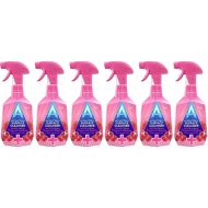 Astonish Antibacterial Surface Cleanser Pomegranate & Raspberry 750ml