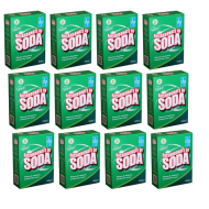 Dri Pak Clean & Natural  Bicarbonate of Soda Powder 500G
