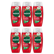 Radox Feel Ready Shower Gel 250ml - Pack of 6
