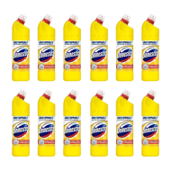Domestos Citrus Bleach 750ml - Pack of 12