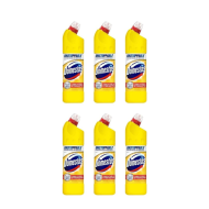 Domestos Citrus Bleach 750ml - Pack of 6