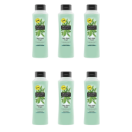 Alberto Balsam Tea Tree Tingle Conditioner 350ml - Pack of 6