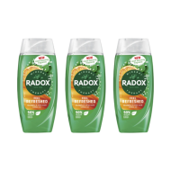 Radox Feel Refreshed 2in1 Shower Gel 250ml - Pack of 3