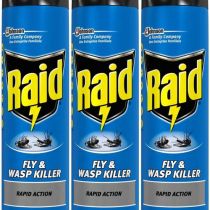 Raid Fly and Wasp Killer 300ml - Pack of 3