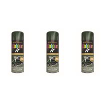 Paint Factory Colour It Quick Drying Spray Paint Nato Green Matt Finish 250 ml - Pack of 3