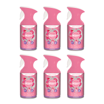 Airpure Air Freshener True Romance 250ml - Pack of 6