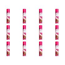 Insette Air Freshener Spray Wild Berries 300ml - Pack of 12