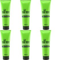 XBC Tea Tree Facial Scrub 250ml - Pack of 6