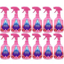 Astonish Antibacterial Surface Cleanser Pomegranate & Raspberry 750ml