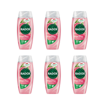 Radox Feel Uplifted Shower Gel 250ml - Pack of 6