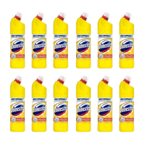 Domestos Citrus Bleach 750ml - Pack of 12