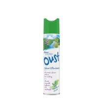 Oust Odour Eliminator Air Freshener Outdoor Scent 300ml aerosol can on a white background
