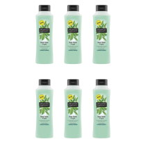 Alberto Balsam Tea Tree Tingle Conditioner 350ml - Pack of 6