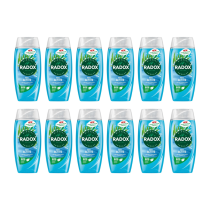 Radox Feel Active Shower Gel 250ml - Pack of 12