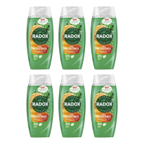 Radox Feel Refreshed 2in1 Shower Gel 250ml - Pack of 6