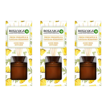 Airwick Botanica Pineapple & Rosemary Home Reed Diffuser 80ML - Pack of 3