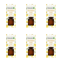 Airwick Botanica Pineapple & Rosemary Home Reed Diffuser 80ML - Pack of 6