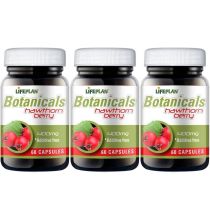 Lifeplan Hawthorn Berry 400mg 60 Capsules - Pack of 3
