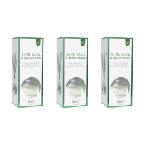 Airpure Lime Basil Mandarin Home Fragrance Reed Diffuser 100 ml - Pack of 3