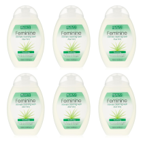 Beauty Formulas Aloe Vera Feminine Intimate Wash 250ml - Pack of 6