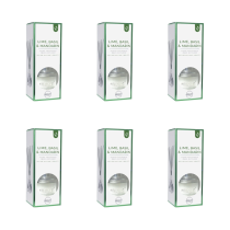 Airpure Lime Basil Mandarin Home Fragrance Reed Diffuser 100 ml - Pack of 6