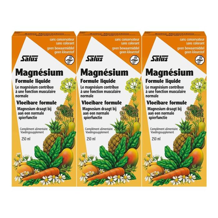 Salus Floradix Magnesium Liquid Mineral Supplement 250ml - Pack of 3