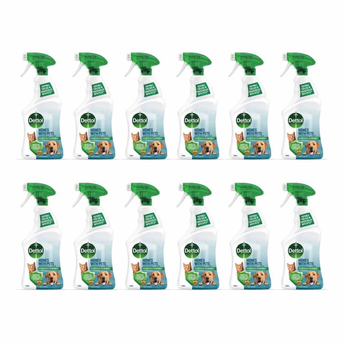 Dettol Multipurpose Cleaner Homes With Pets Fresh Breeze 750ml - Pack of 12