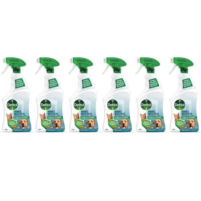 Dettol Multipurpose Cleaner Homes With Pets Fresh Breeze 750ml - Pack of 6