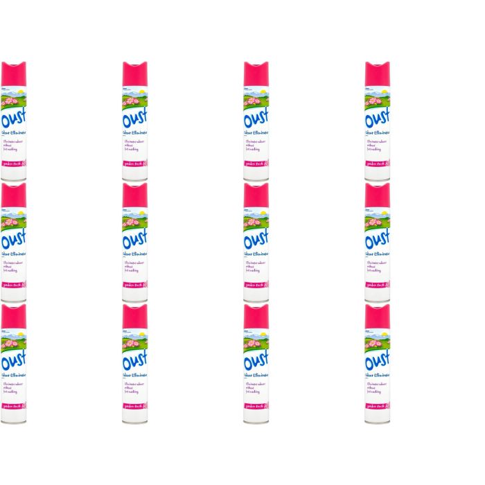 Oust Odour Eliminator Garden Fresh 300ML - Pack of 12