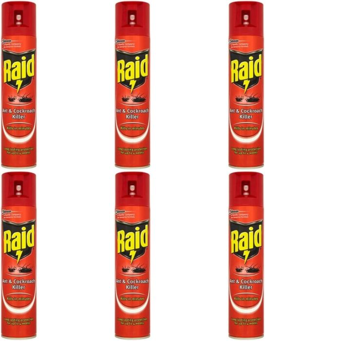 Raid Ant & Cockroach Killer Spray 300ML - Pack of 6