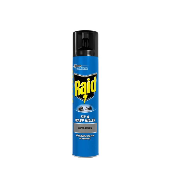 Raid Fly and Wasp Killer 300ml