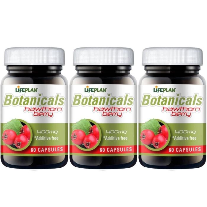 Lifeplan Hawthorn Berry 400mg 60 Capsules - Pack of 3