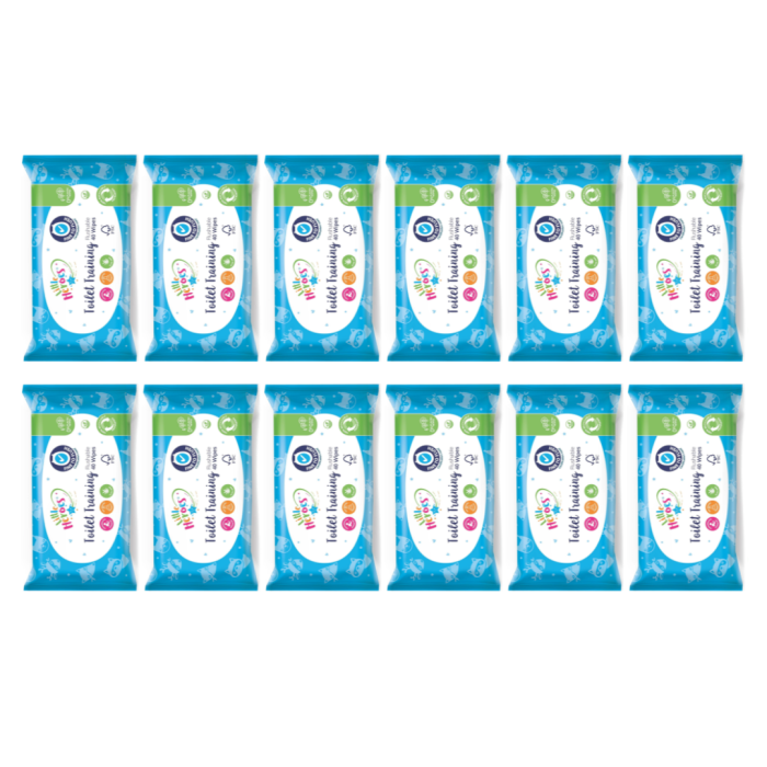 Little Heroes Toilet Training Flushable Baby Wipes 40 Wipes - Pack of 12
